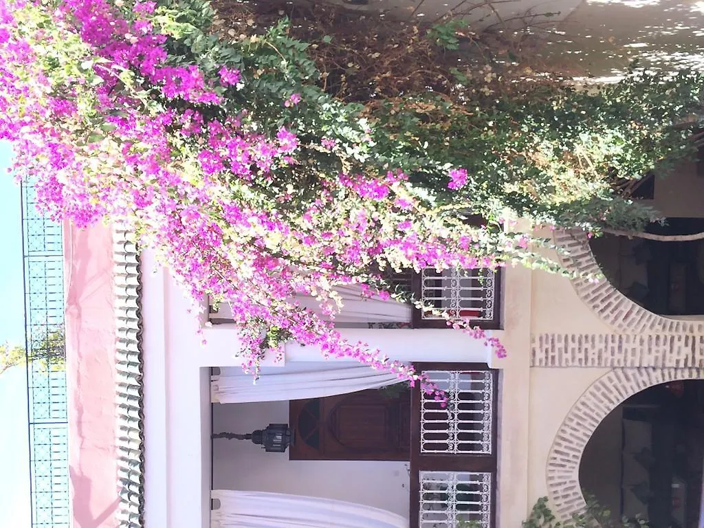 ***  Riad Dar Palmyra Marrakesh Marocco